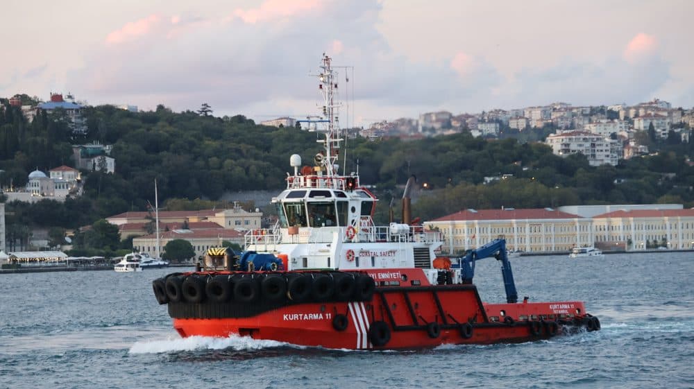 Fotoğraf