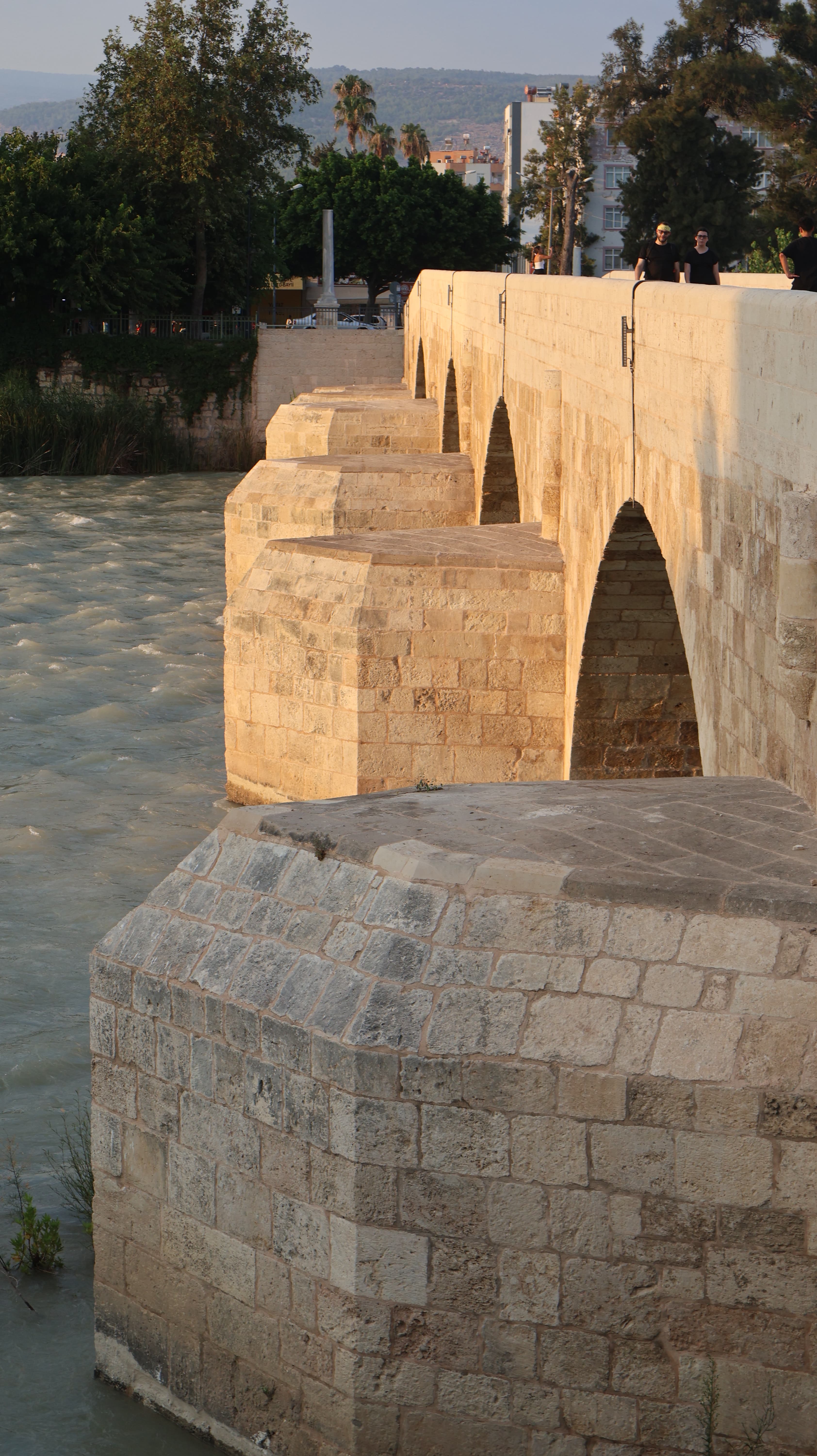 Fotoğraf